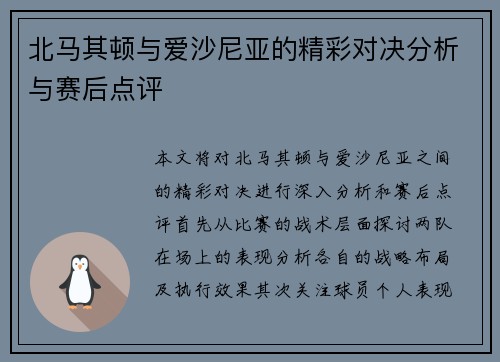 北马其顿与爱沙尼亚的精彩对决分析与赛后点评